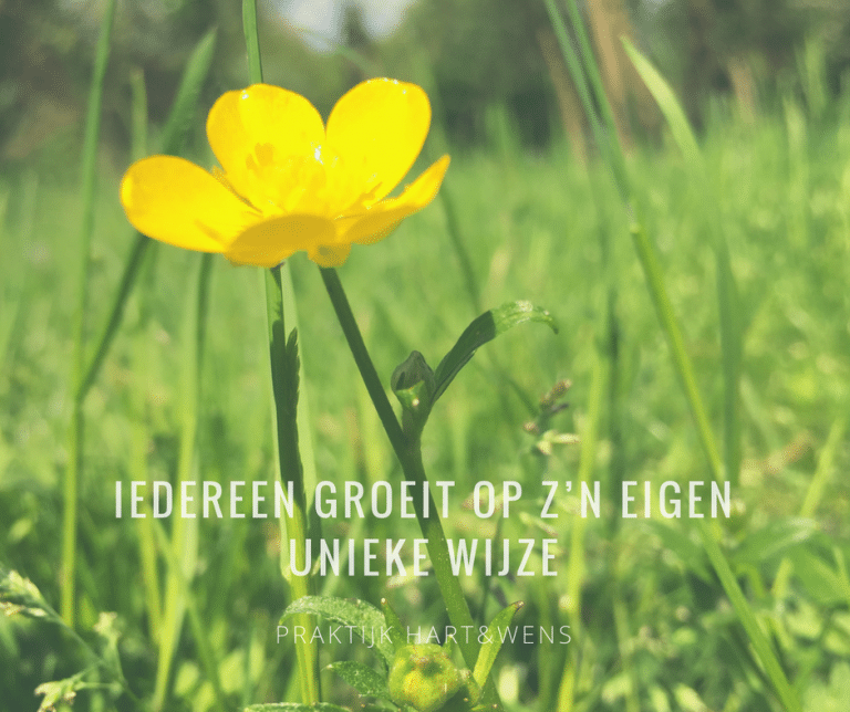 Alles wat Aandacht krijgt groeit Praktijk Hart en Wens